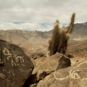 Arte rupestre del Valle de Elqui: identidad, memoria y patrimonio vivo